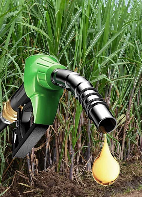 Bio-Diesel Benefits